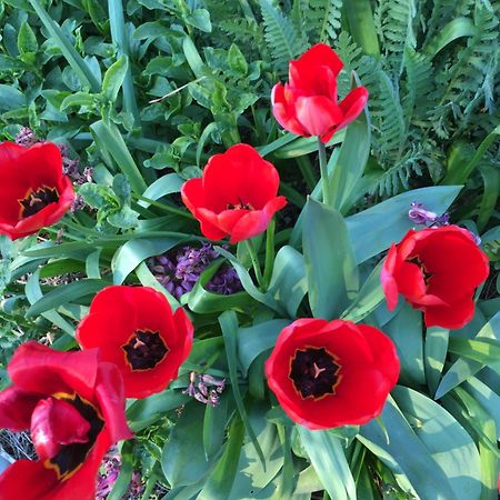 "La Maison De Villars" Au Coeur De La Nature Pressac Екстер'єр фото